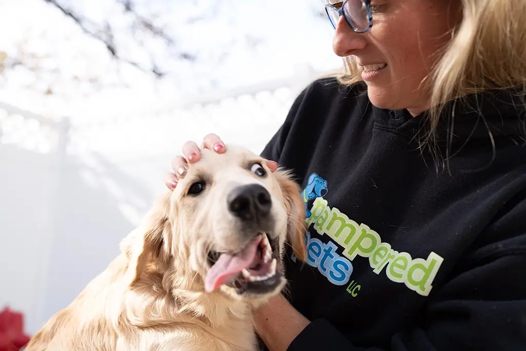 Pampered Pets Employee Petting Dog Daycare